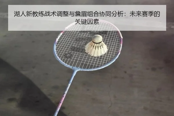湖人新教练战术调整与詹眉组合协同分析：未来赛季的关键因素